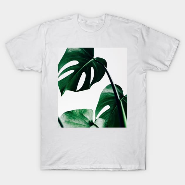 ELEGANT MONSTERA CLUSTER ABSTRACT PATTERN T-Shirt by stephaniek